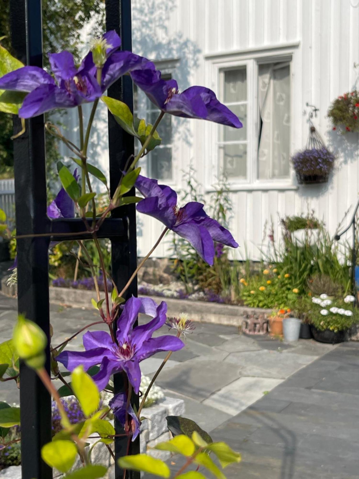 Sommerdrom I Sor Mandal Exterior foto
